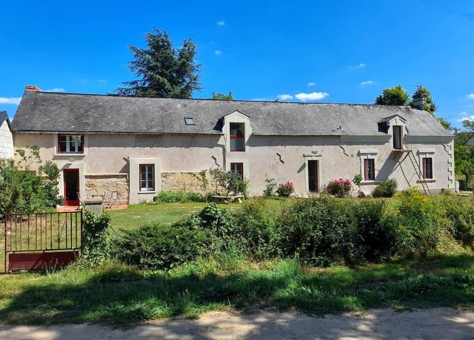 Gite En Bord De Loire Blaison-Saint-Sulpice Exteriör bild