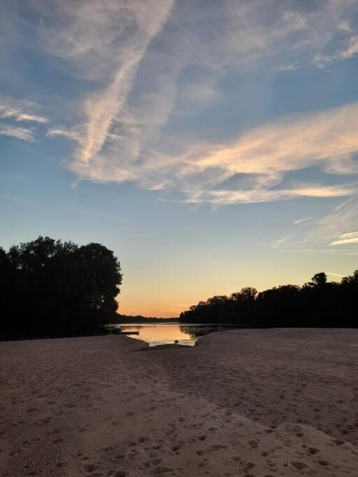 Gite En Bord De Loire Blaison-Saint-Sulpice Exteriör bild