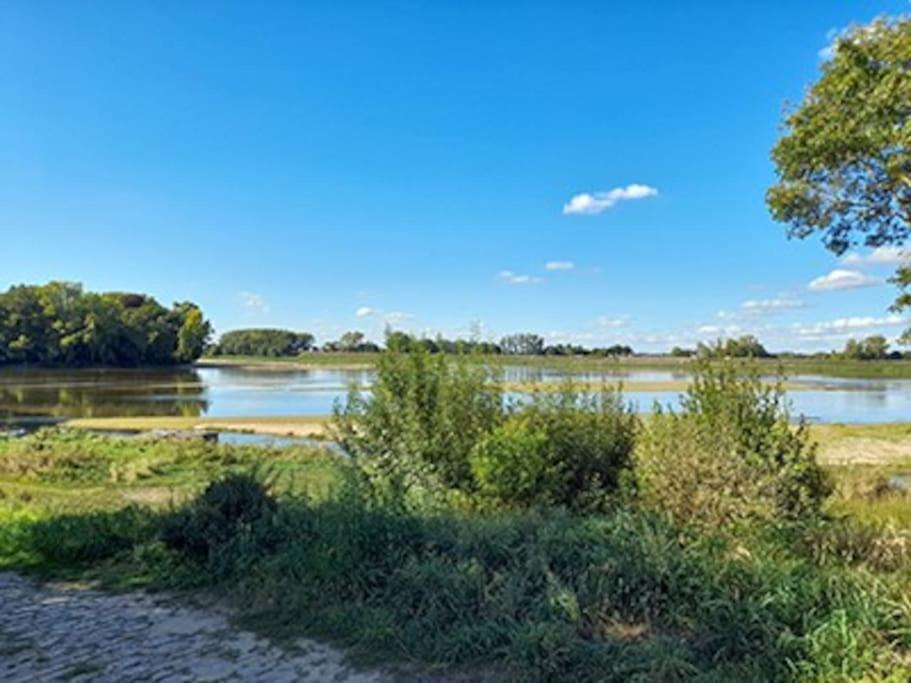 Gite En Bord De Loire Blaison-Saint-Sulpice Exteriör bild