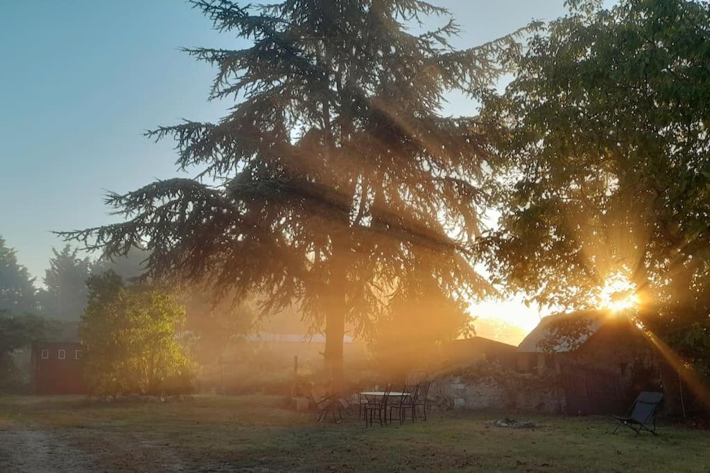 Gite En Bord De Loire Blaison-Saint-Sulpice Exteriör bild