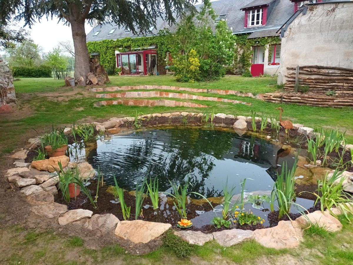 Gite En Bord De Loire Blaison-Saint-Sulpice Exteriör bild